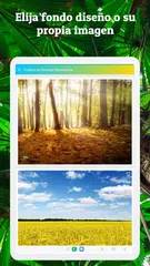 Descargar XAPK de Fondos de Pantalla Naturaleza