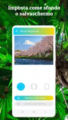 download Sfondi Natura HD XAPK