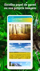 Baixar Papel de Parede Natureza XAPK