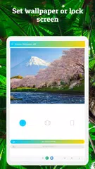 大自然桌布 XAPK 下載