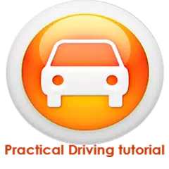 Скачать Practical Driving Lessons PRO APK