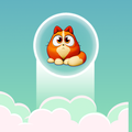 Rise The Cat : free casual arc