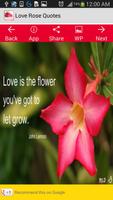 Love Rose Quotes poster