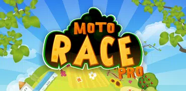 Moto Race Pro -- physics motorcycle racing game