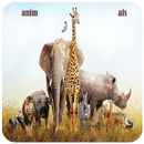 Fonds d'écran Animaux APK