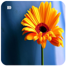 素敵な花の壁紙 APK