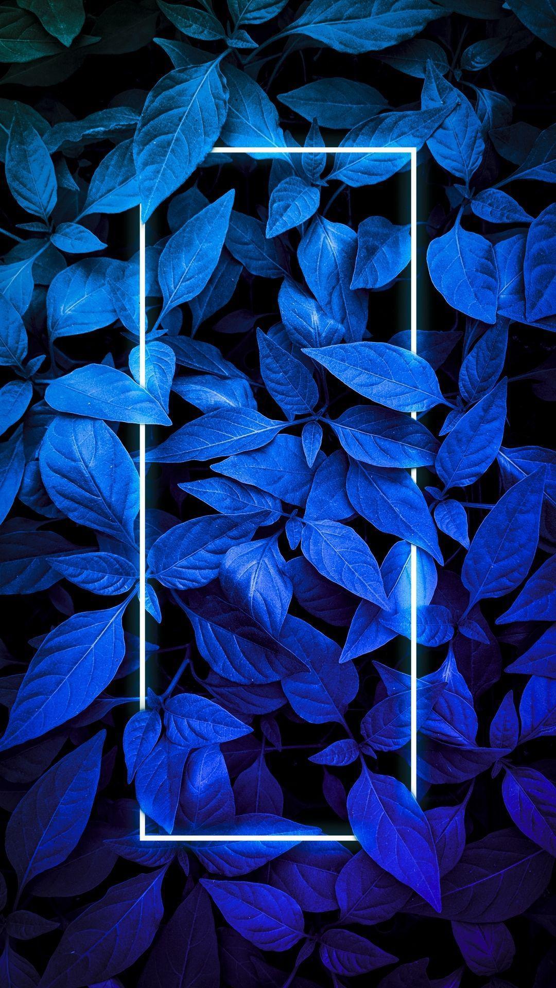 Descarga de APK de Fondos de pantalla azul-fondo azul oscuro para Android Descarga de APK de Fondos de pantalla azul-fondo azul oscuro para Android