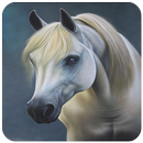 خلفيات الحصان- 4K APK