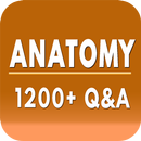 Anatomy NCLEX APK