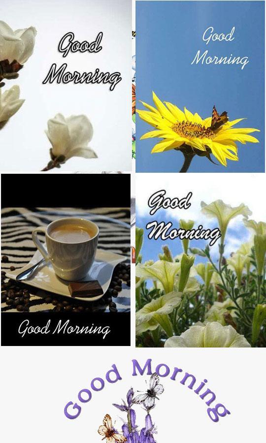 Good Morning Sticker Gif And Sms For Android Apk Download