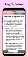 Easy Apache Solr Tutorial screenshot 2