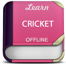 Easy Cricket Tutorial APK