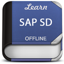 APK Easy SAP SD Tutorial