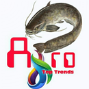 Catfish Farm Manager Pro APK