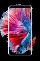 Betta Fish Wallpaper HD captura de pantalla 2