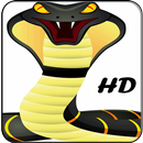 King Cobra Wallpapers HD APK