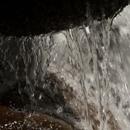 Aquatic wall live wallpaper APK