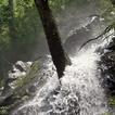 Stormy forest waterfall