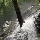 Stormy forest waterfall-icoon