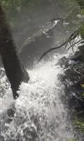 Stormy forest waterfall-poster