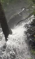 Stormy forest waterfall โปสเตอร์