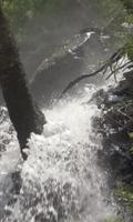 Stormy forest waterfall capture d'écran 1