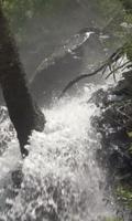 Stormy forest waterfall capture d'écran 2