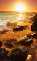 Sun water and sand screenshot 2