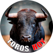 Toros hoy