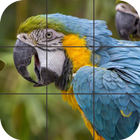 Les Oiseaux Puzzle icône