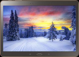 Winter Wallpapers HD screenshot 3