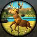 야생 동물 사냥 충돌 APK