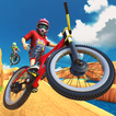 ”Dirt BMX Bicycle Stunt Race