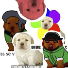 Stickers De Perrito para WAAS icône