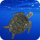 Tortoise Wallpaper HD 图标
