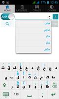 Poster Punjabi Arabic Dictionary