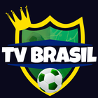 Tv Brasil ao vivo - Futebol icône
