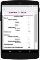 Basic Accounting Ekran Görüntüsü 2