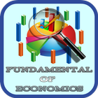 Fundamental Of Economics icône