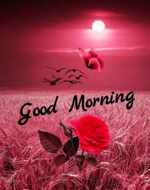 Good morning Flower Wallpapers APK for Android Download