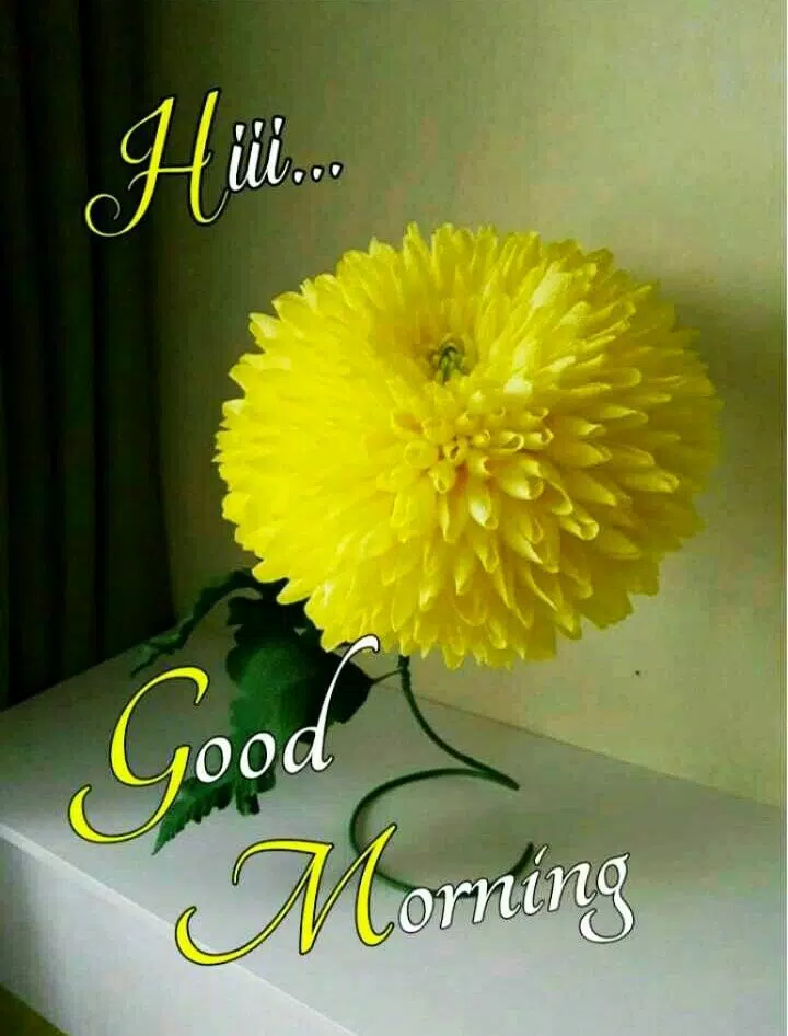 Good morning Flower Wallpapers APK pour Android Télécharger Good morning Flower Wallpapers APK pour Android Télécharger