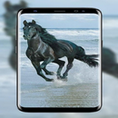 New Horse Wallpaper HD 2020 APK