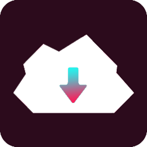 TikTok 下載器-免費&快速下載和轉發視頻