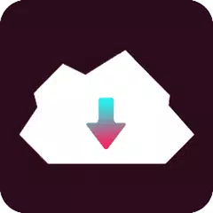 TikTok 下載器-免費&快速下載和轉發視頻 APK 下載
