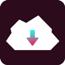 For TikTok Video Downloader&Forwarder-Free&Fast APK