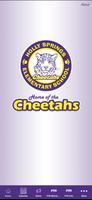 Holly Springs Elementary Plakat