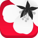 Ginza Japanese Cuisine APK