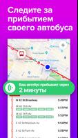 Momego скриншот 2