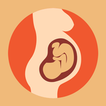 راهنمای بارداری: تقویم بارداری