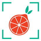 Toters Picker أيقونة